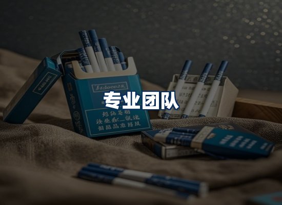专业团队